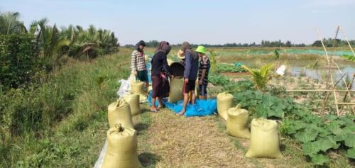 ပဲ၊ပြောင်း‌၊ငရုတ်၊ နေကြာစိုက်ပျိုးရေးအလုပ်ခွင်။
