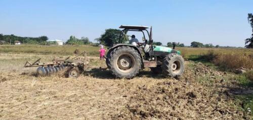 စိုက်ပျိုးရန် ထယ်ခွဲထွန်ယက်နေစဉ်။
